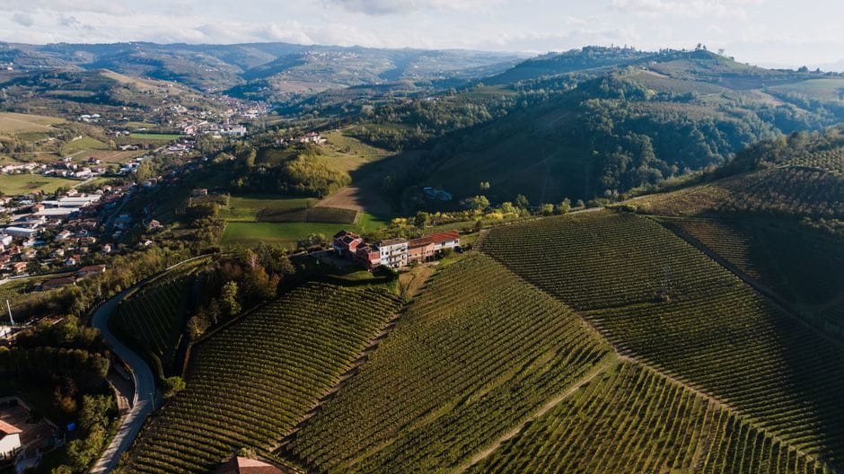 Piemonte in november: truffels, wijn en mist tussen de heuvels