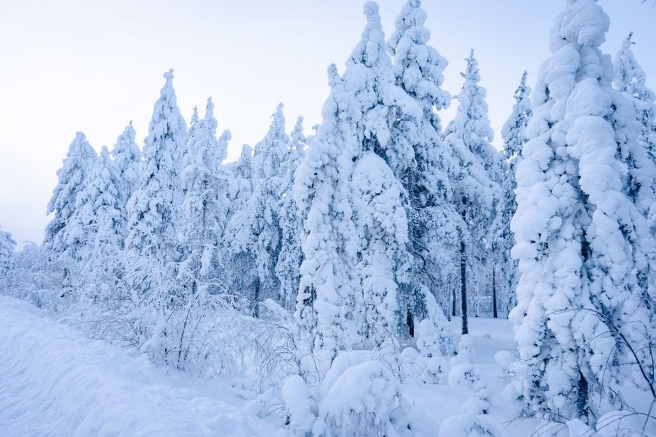 Fins Lapland: sauna, sneeuw en de stilte van het hoge noorden