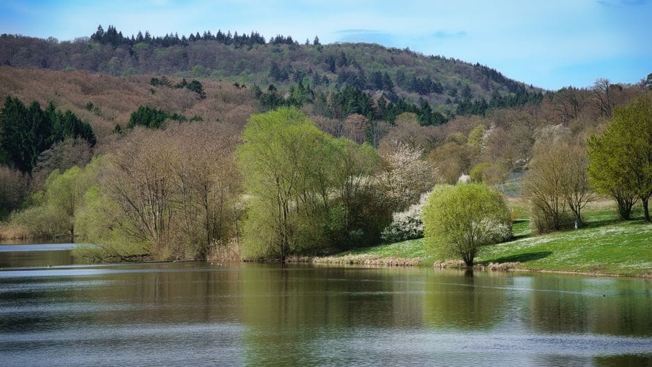 Wandelen in de Eifel: vulkaanmeren, bossen en Duitse stilte
