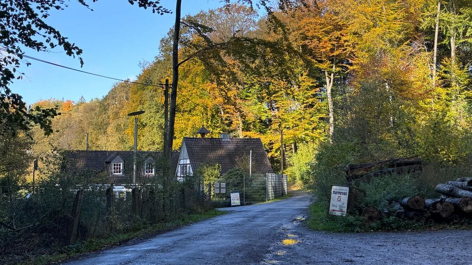Het Zwarte Woud in de herfst: kloven, koekoeksklokken en kuren