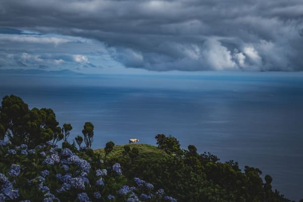Eilandhoppen op de Azoren: groene vulkanen midden op de oceaan