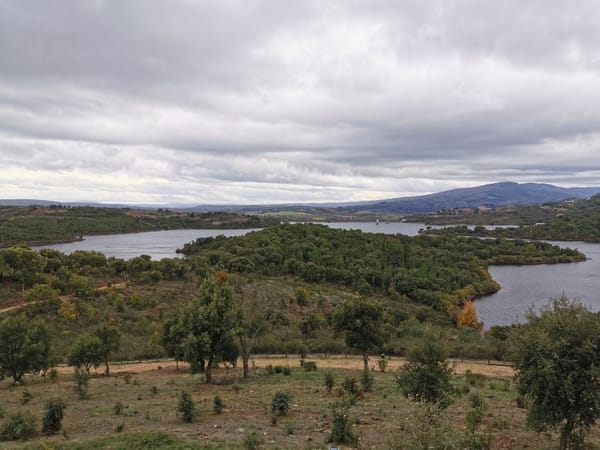 De Douro-vallei met de trein: wijnterrassen langs de rivier