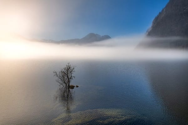 Salzkammergut: ontsnap aan Hallstatt, kies de stille meren