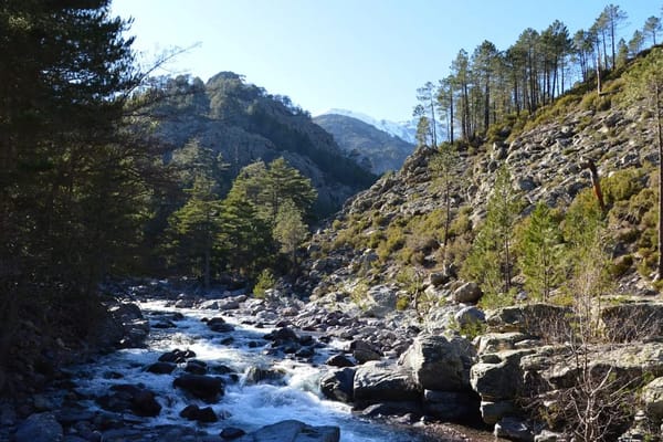 Corsica landinwaarts: rust voorbij de volle kust