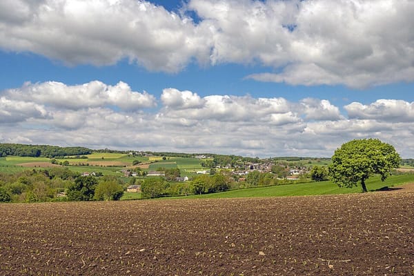Zuid-Limburg: wandelen, wijn en vakwerk in het enige heuvellandschap van Nederland